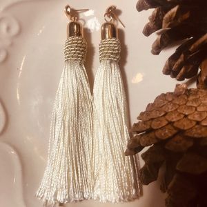 Beautiful Fashion Earrings fringe